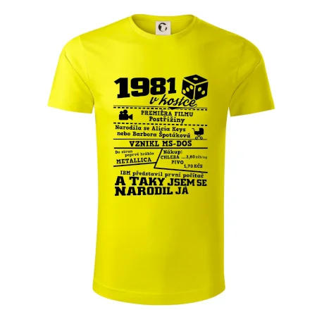 1981 v kostce