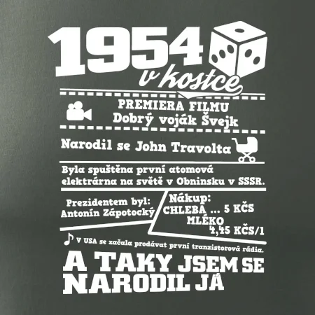 1954 v kostce
