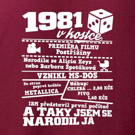 1981 v kostce