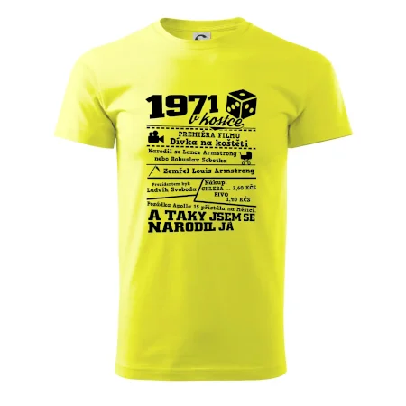 1971 v kostce