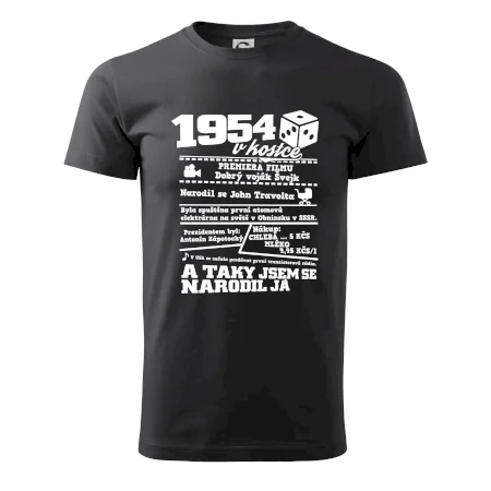 1954 v kostce