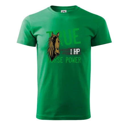 True Horse Power 1 HP