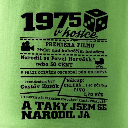 1975 v kostce