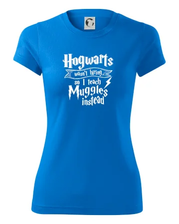Harry - Hogwarts wasn’t hiring, so I teach Muggles instead