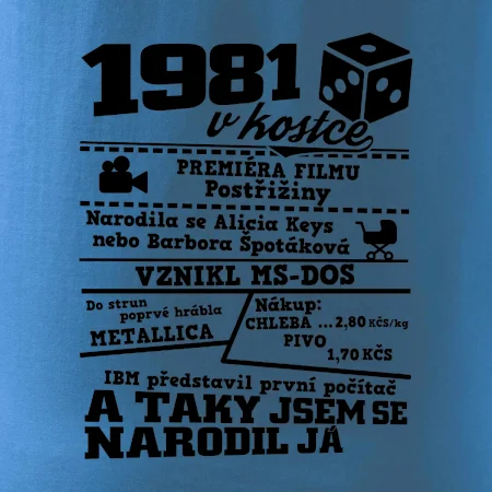 1981 v kostce