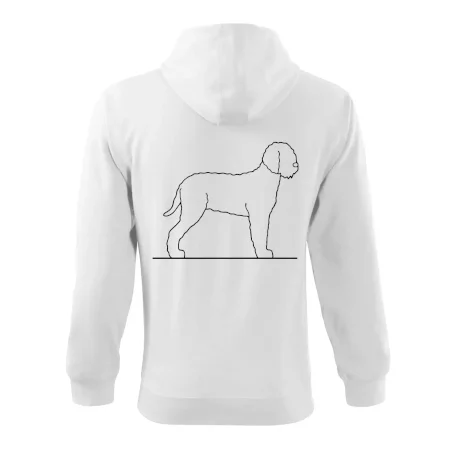 Lagotto romagnolo stojící