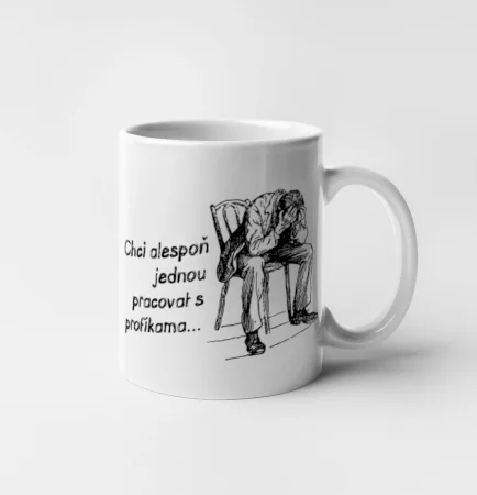Chci alespoň jednou pracovat s profíkama