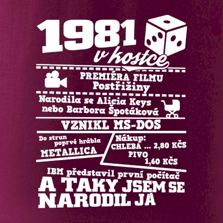 1981 v kostce