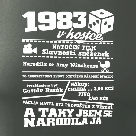 1983 v kostce