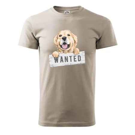Zlatý retriever - štěně wanted