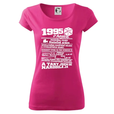 1995 v kostce