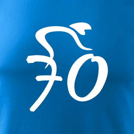 Cyklista slaví sedmdesátku (70)