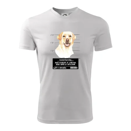 Lump a darebák labrador