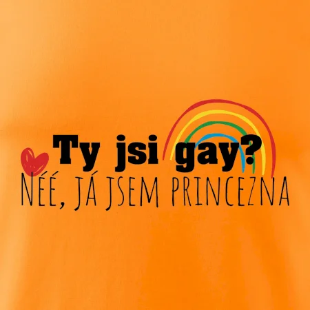 Gay princezna