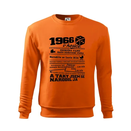 1966 v kostce