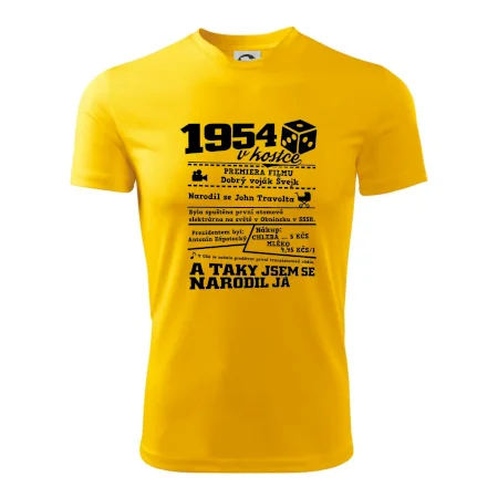 1954 v kostce