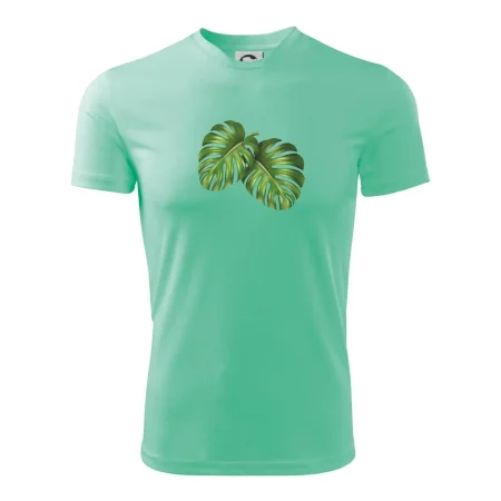 Monstera - dva listy