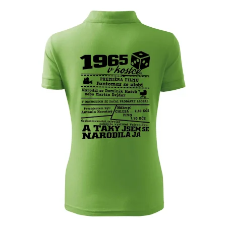1965 v kostce