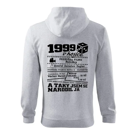 1999 v kostce