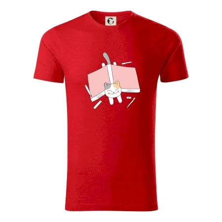 Učení na státnice kočka