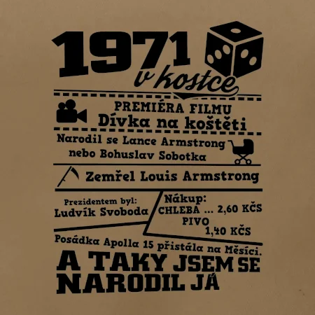 1971 v kostce