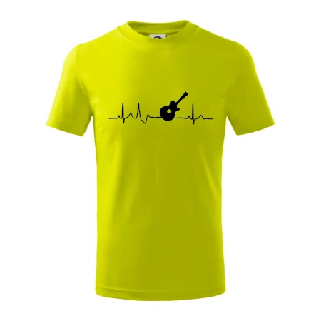 EKG akustická kytara