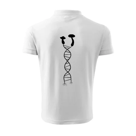 DNA houby