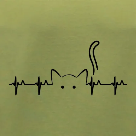 Kočka EKG