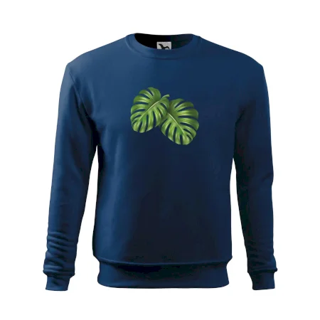 Monstera - dva listy