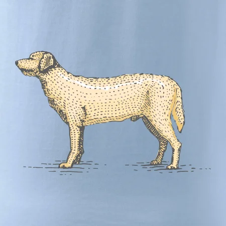 Vintage Labrador
