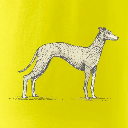 Vintage Whippet