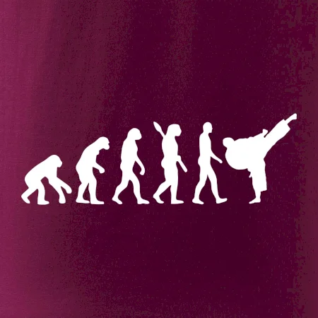 Karate Evoluce - kop
