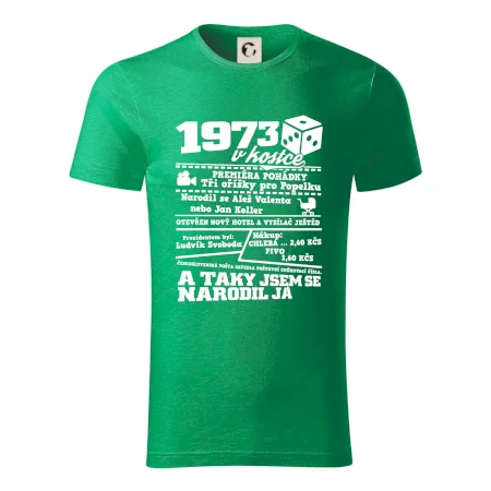 1973 v kostce