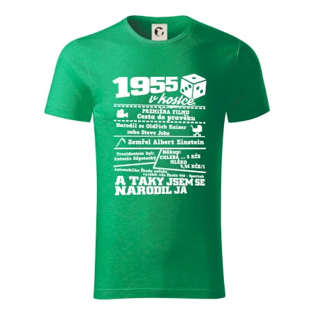1955 v kostce
