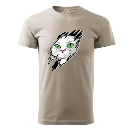 Kočka v roztrženém triku