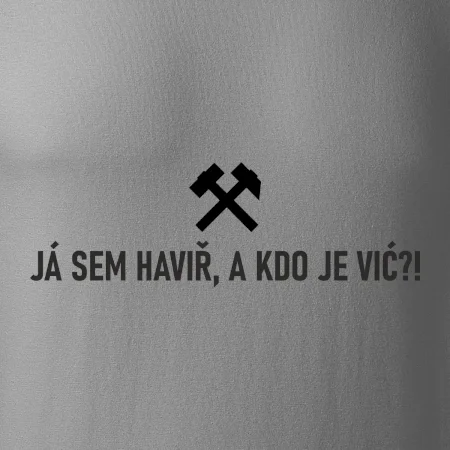 JÁ SEM HAVIŘ, A KDO JE VIĆ?!﻿