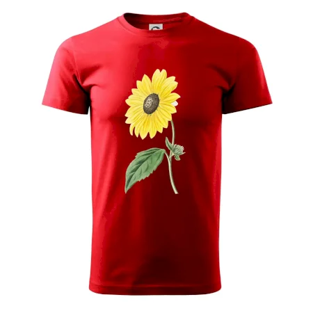 Slunečnice otočená