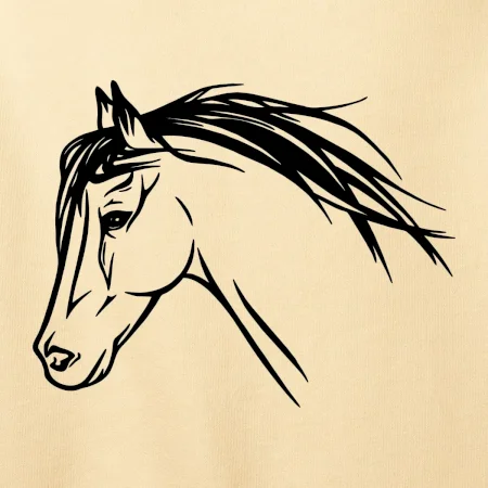Kůň - hlava celá