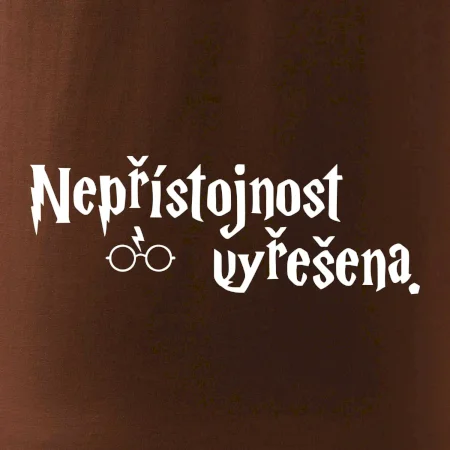 Nepřístojnost vyřešena