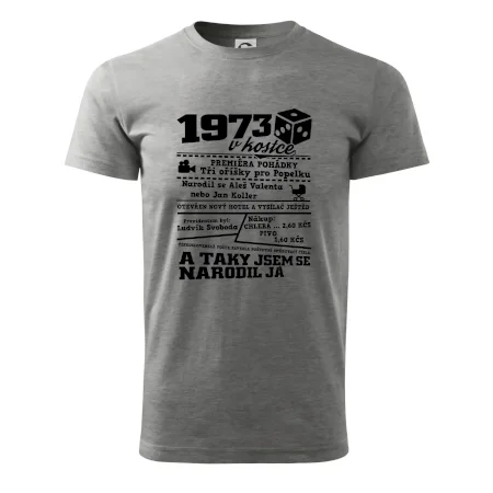 1973 v kostce
