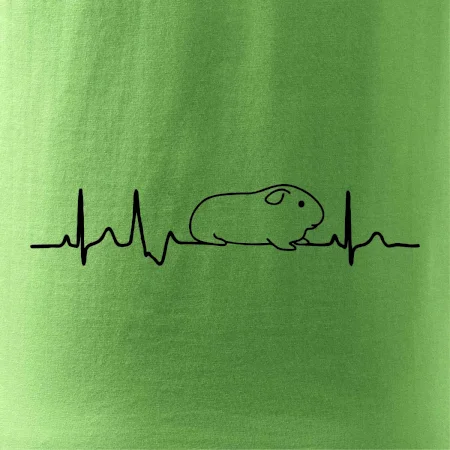 EKG morče