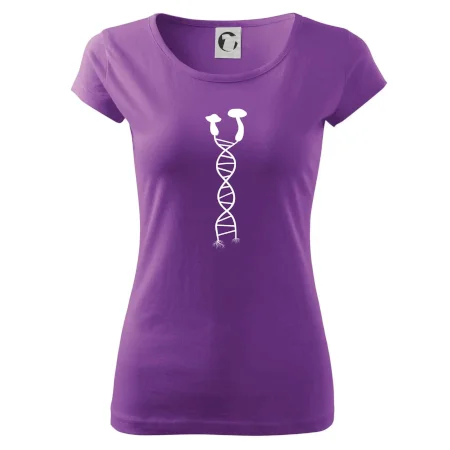 DNA houby