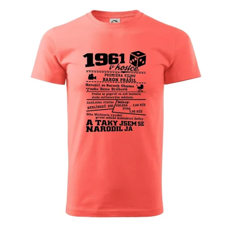 1961 v kostce