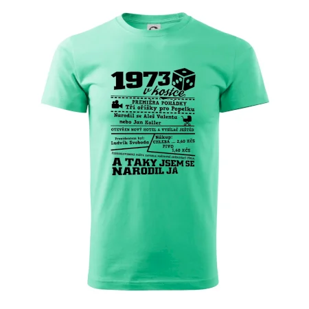 1973 v kostce