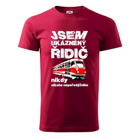 Jsem ukázněný řidič - tramvaj