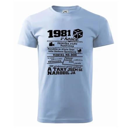 1981 v kostce