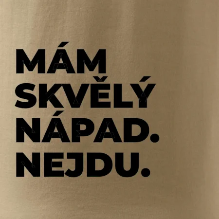 MÁM SKVĚLÝ NÁPAD. NEJDU.