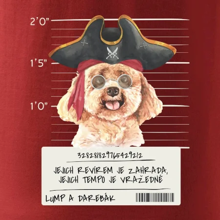 Lump a darebák pudl