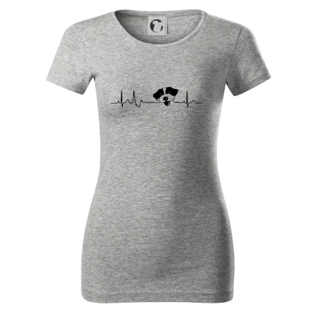 Jack Russell Terriér hrubosrstý Ekg