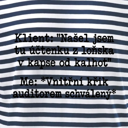 Klient a vnitřní auditorský křik